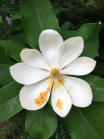 B3439FB7-1AF6-4AE9-A477-BBDA4AA92F89